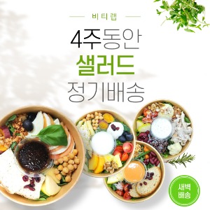 [비티랩] 샐러드 정기배송 4주