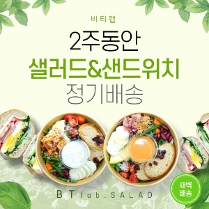 [비티랩] 샐러드+샌드위치 정기배송 2주