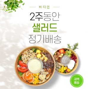 [비티랩] 샐러드 정기배송 2주