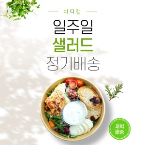 [비티랩] 샐러드 정기배송 1주